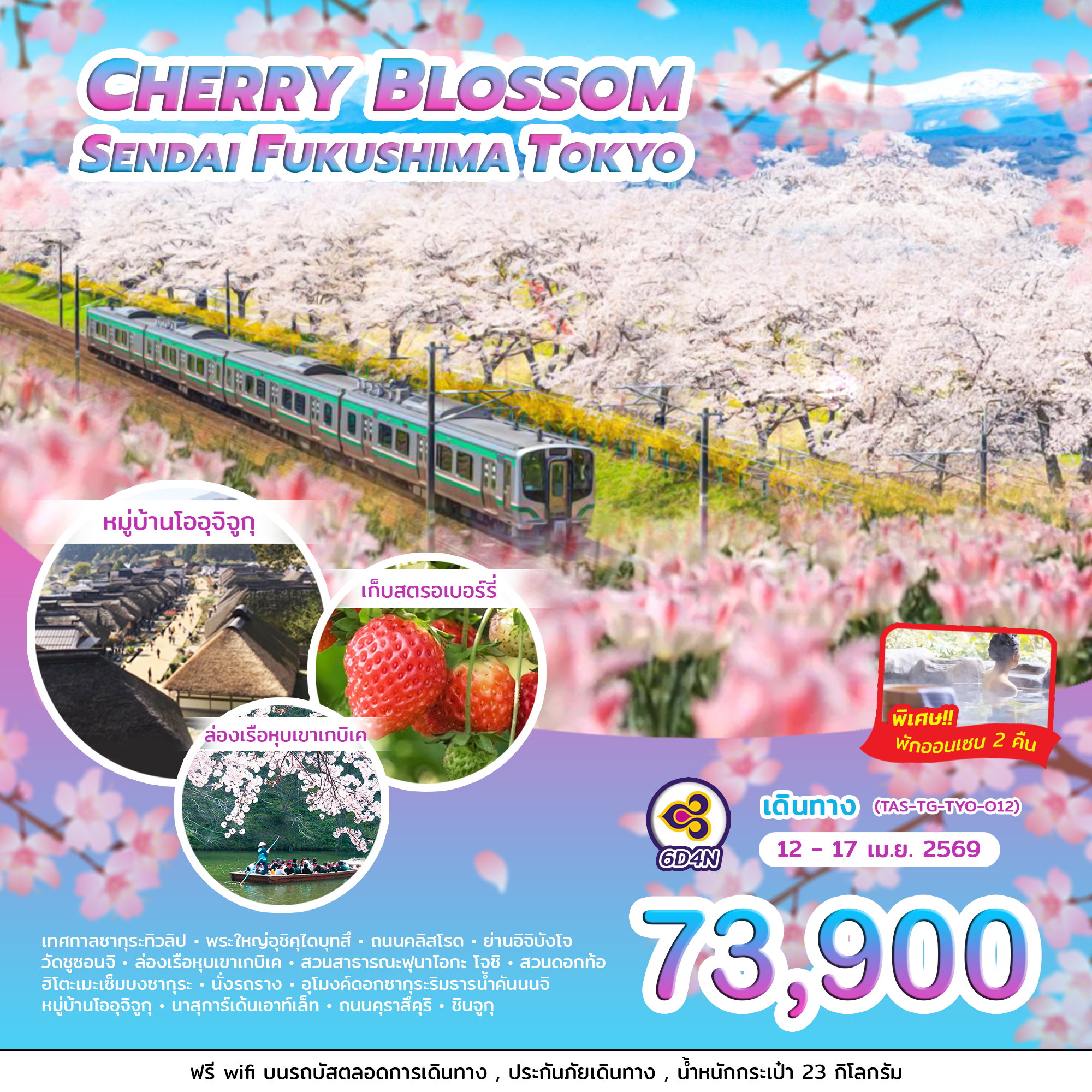 CHERRY BLOSSOM SENDAI FUKUSHIMA TOKYO (6D4N)
