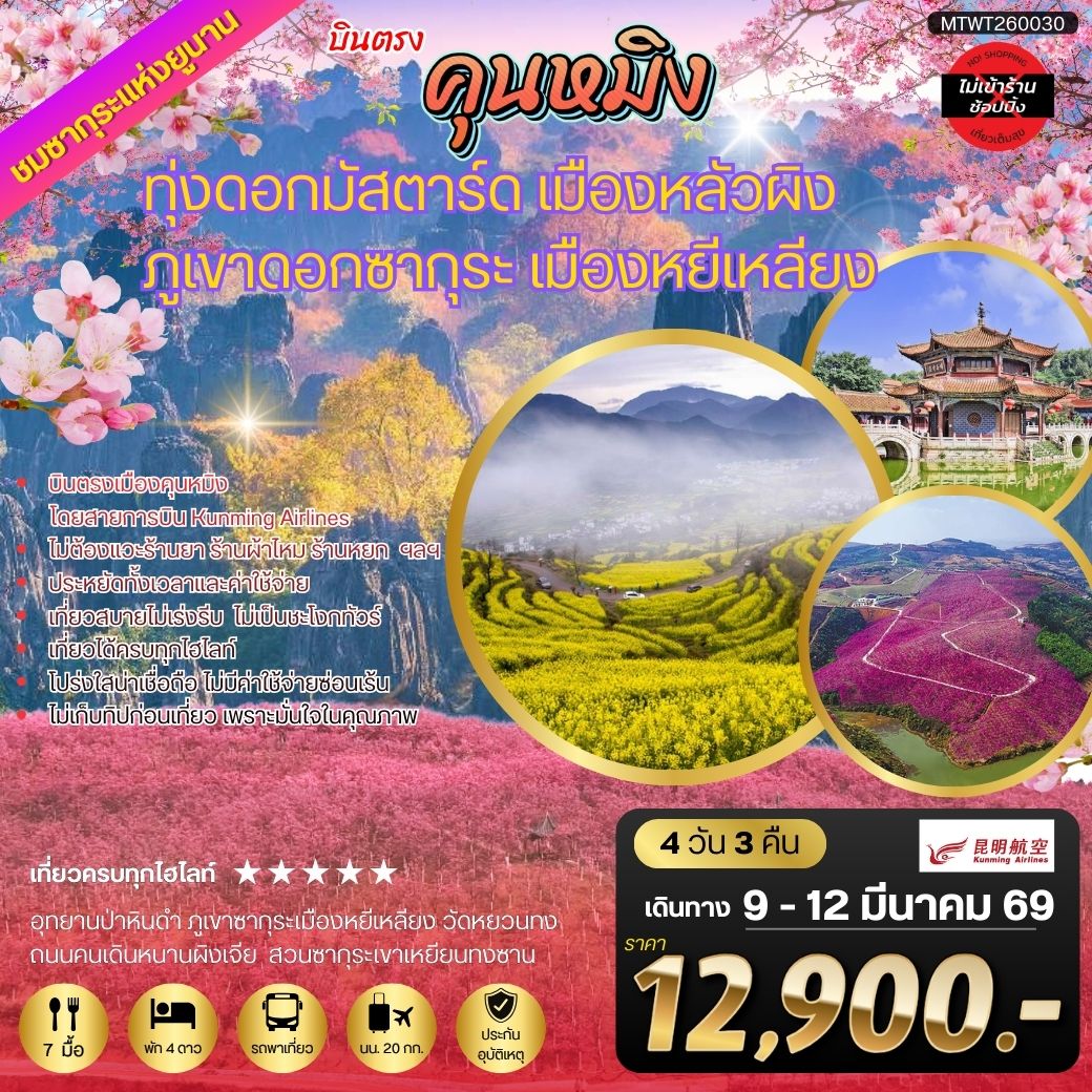 ทัวร์จีน คุนหมิง ชมทุ่งดอกมัสตาร์ด เมืองหลัวผิง ชมภูเขาดอกซากุระ เมืองหยีเหลียง 4วัน 3คืน *ไม่เข้าร้าน* (KY)